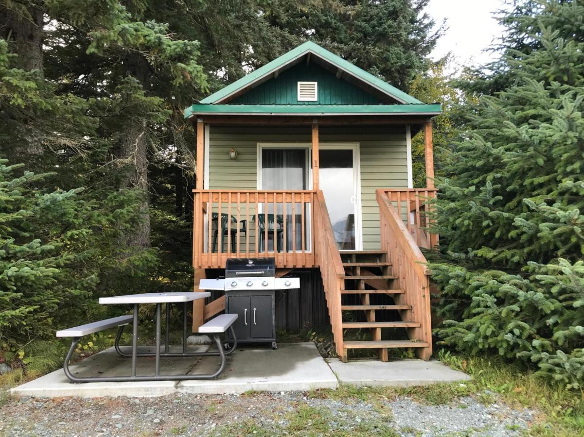 Cabin 3 Lynn View Lodge Haines Extérieur photo
