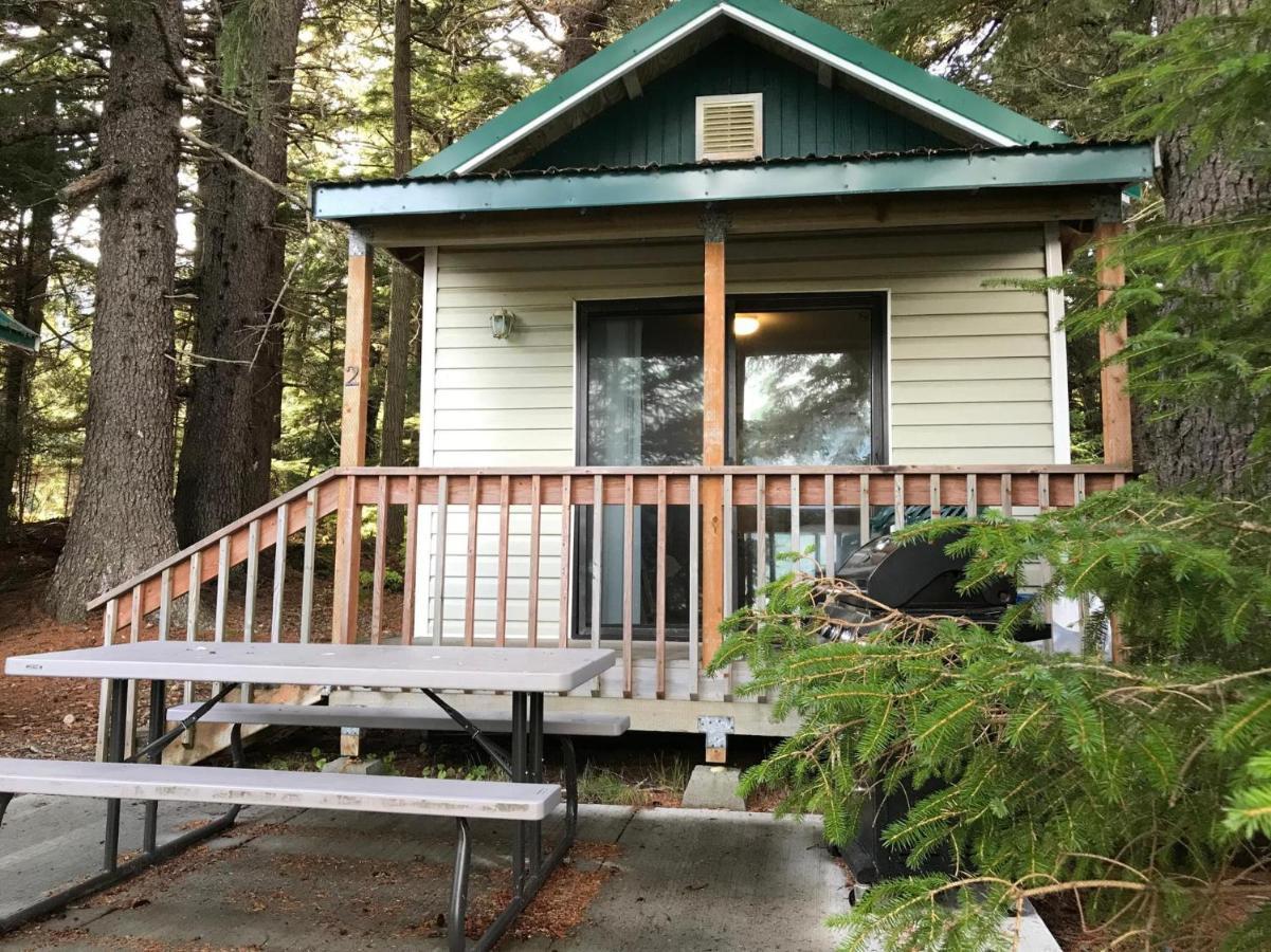 Cabin 3 Lynn View Lodge Haines Extérieur photo