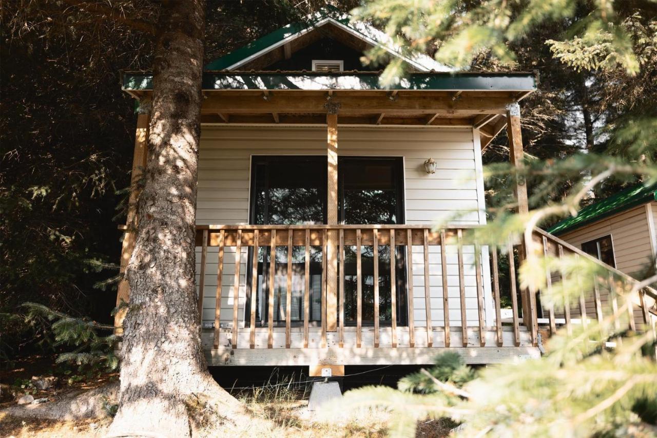 Cabin 3 Lynn View Lodge Haines Extérieur photo